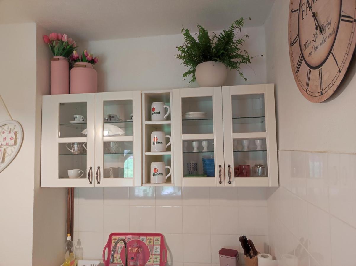 הוילה Banská Štiavnica Babka House מראה חיצוני תמונה